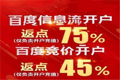 百度推广月费投入案例分析